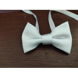 Papillon bianco